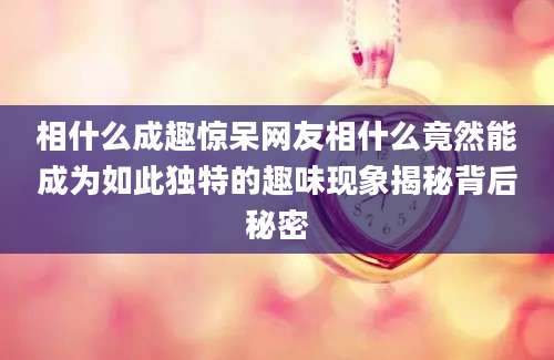 相什么成趣惊呆网友相什么竟然能成为如此独特的趣味现象揭秘背后秘密
