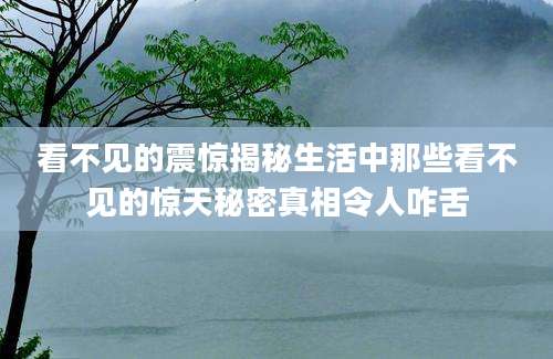 看不见的震惊揭秘生活中那些看不见的惊天秘密真相令人咋舌