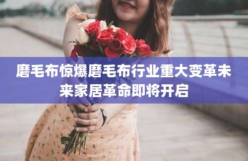 磨毛布惊爆磨毛布行业重大变革未来家居革命即将开启