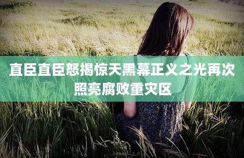 直臣直臣怒揭惊天黑幕正义之光再次照亮腐败重灾区