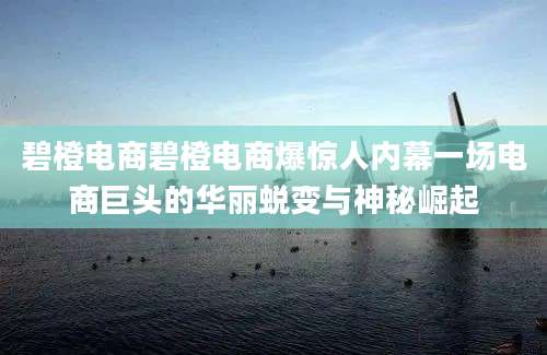 碧橙电商碧橙电商爆惊人内幕一场电商巨头的华丽蜕变与神秘崛起