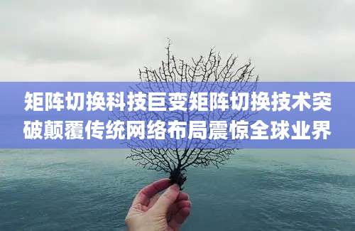 矩阵切换科技巨变矩阵切换技术突破颠覆传统网络布局震惊全球业界