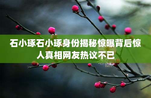 石小琢石小琢身份揭秘惊曝背后惊人真相网友热议不已