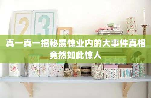 真一真一揭秘震惊业内的大事件真相竟然如此惊人