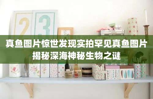 真鱼图片惊世发现实拍罕见真鱼图片揭秘深海神秘生物之谜
