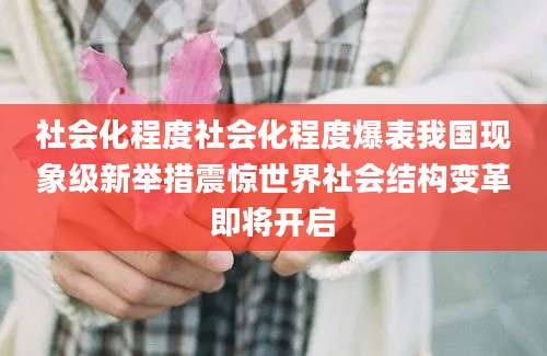 社会化程度社会化程度爆表我国现象级新举措震惊世界社会结构变革即将开启