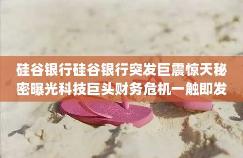 硅谷银行硅谷银行突发巨震惊天秘密曝光科技巨头财务危机一触即发