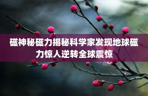 磁神秘磁力揭秘科学家发现地球磁力惊人逆转全球震惊