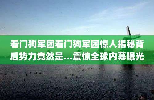 看门狗军团看门狗军团惊人揭秘背后势力竟然是...震惊全球内幕曝光