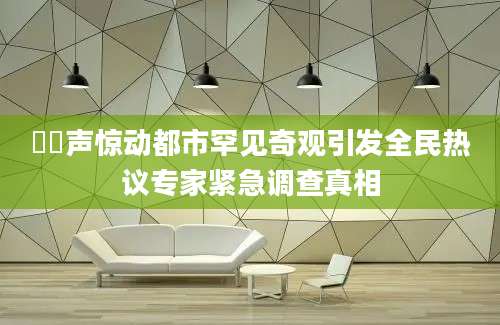 磹磹声惊动都市罕见奇观引发全民热议专家紧急调查真相