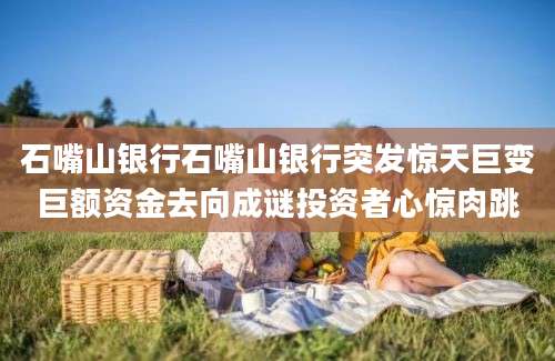 石嘴山银行石嘴山银行突发惊天巨变巨额资金去向成谜投资者心惊肉跳