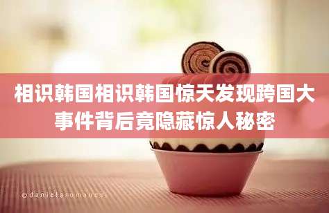 相识韩国相识韩国惊天发现跨国大事件背后竟隐藏惊人秘密