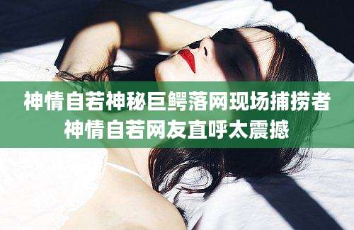 神情自若神秘巨鳄落网现场捕捞者神情自若网友直呼太震撼