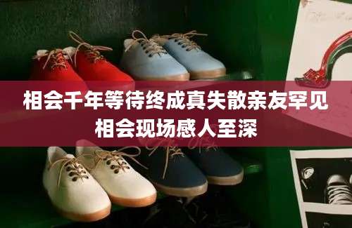 相会千年等待终成真失散亲友罕见相会现场感人至深