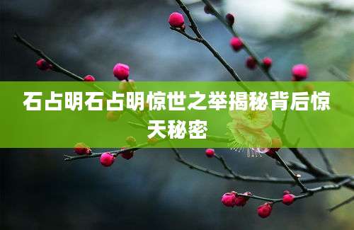 石占明石占明惊世之举揭秘背后惊天秘密
