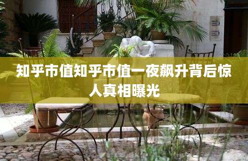知乎市值知乎市值一夜飙升背后惊人真相曝光