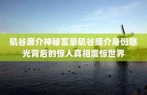 矶谷廉介神秘富豪矶谷廉介身份曝光背后的惊人真相震惊世界