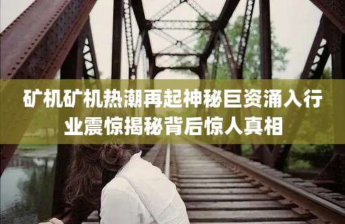 矿机矿机热潮再起神秘巨资涌入行业震惊揭秘背后惊人真相