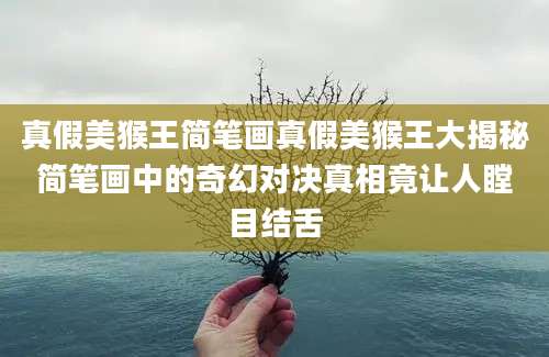 真假美猴王简笔画真假美猴王大揭秘简笔画中的奇幻对决真相竟让人瞠目结舌