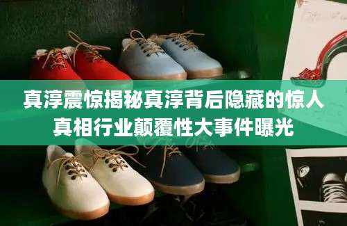 真淳震惊揭秘真淳背后隐藏的惊人真相行业颠覆性大事件曝光