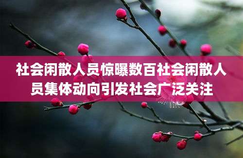 社会闲散人员惊曝数百社会闲散人员集体动向引发社会广泛关注