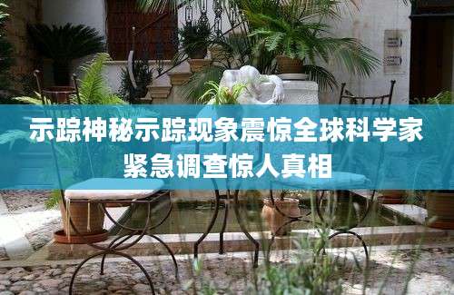 示踪神秘示踪现象震惊全球科学家紧急调查惊人真相