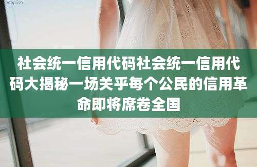 社会统一信用代码社会统一信用代码大揭秘一场关乎每个公民的信用革命即将席卷全国