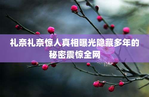 礼奈礼奈惊人真相曝光隐藏多年的秘密震惊全网