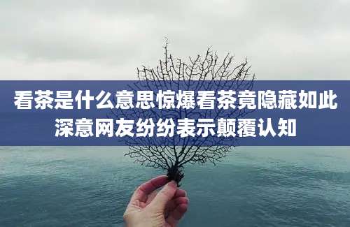 看茶是什么意思惊爆看茶竟隐藏如此深意网友纷纷表示颠覆认知