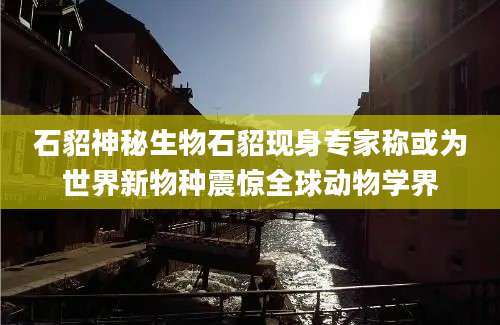 石貂神秘生物石貂现身专家称或为世界新物种震惊全球动物学界