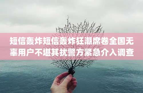 短信轰炸短信轰炸狂潮席卷全国无辜用户不堪其扰警方紧急介入调查
