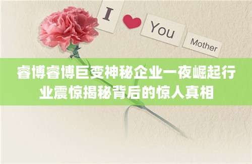睿博睿博巨变神秘企业一夜崛起行业震惊揭秘背后的惊人真相