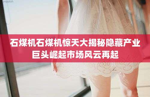 石煤机石煤机惊天大揭秘隐藏产业巨头崛起市场风云再起