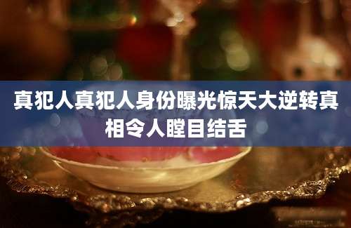 真犯人真犯人身份曝光惊天大逆转真相令人瞠目结舌