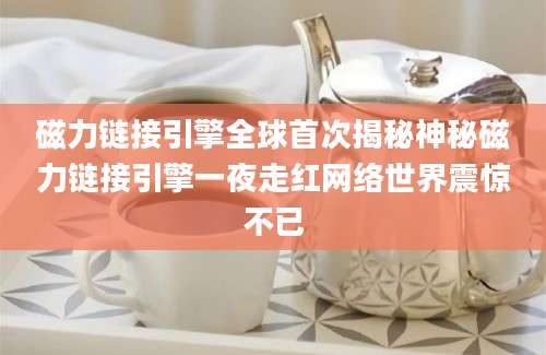 磁力链接引擎全球首次揭秘神秘磁力链接引擎一夜走红网络世界震惊不已
