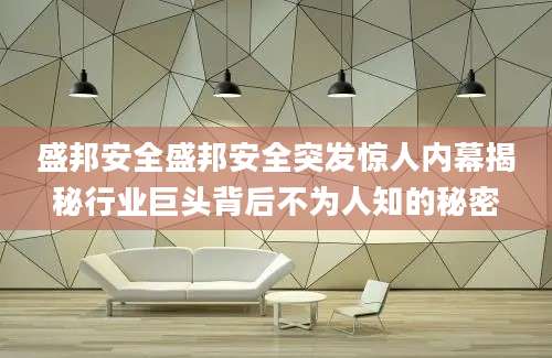 盛邦安全盛邦安全突发惊人内幕揭秘行业巨头背后不为人知的秘密