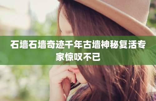 石墙石墙奇迹千年古墙神秘复活专家惊叹不已