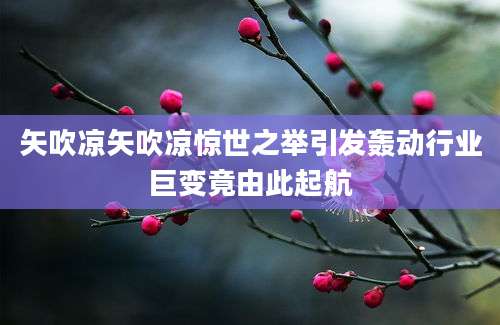 矢吹凉矢吹凉惊世之举引发轰动行业巨变竟由此起航