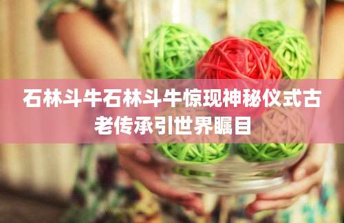 石林斗牛石林斗牛惊现神秘仪式古老传承引世界瞩目