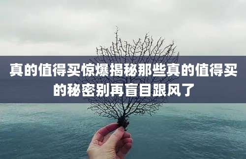 真的值得买惊爆揭秘那些真的值得买的秘密别再盲目跟风了