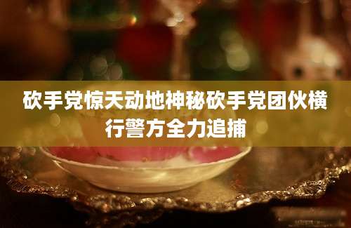 砍手党惊天动地神秘砍手党团伙横行警方全力追捕