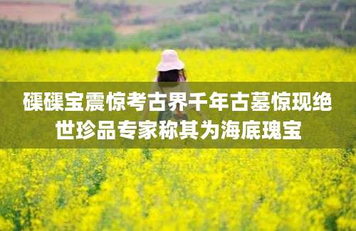 磲磲宝震惊考古界千年古墓惊现绝世珍品专家称其为海底瑰宝