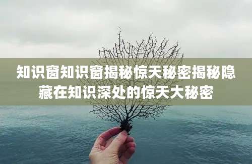 知识窗知识窗揭秘惊天秘密揭秘隐藏在知识深处的惊天大秘密