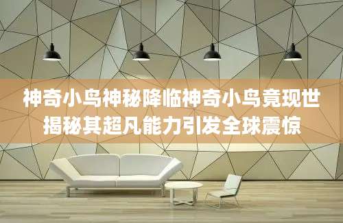 神奇小鸟神秘降临神奇小鸟竟现世揭秘其超凡能力引发全球震惊