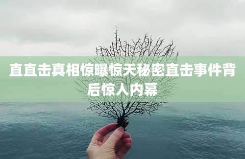 直直击真相惊曝惊天秘密直击事件背后惊人内幕