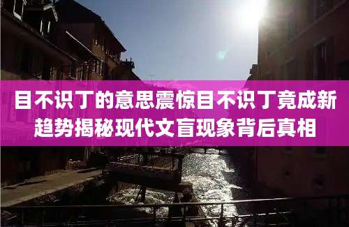 目不识丁的意思震惊目不识丁竟成新趋势揭秘现代文盲现象背后真相