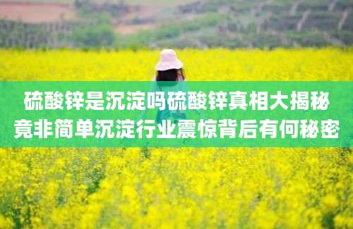 硫酸锌是沉淀吗硫酸锌真相大揭秘竟非简单沉淀行业震惊背后有何秘密