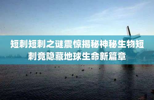 短刺短刺之谜震惊揭秘神秘生物短刺竟隐藏地球生命新篇章