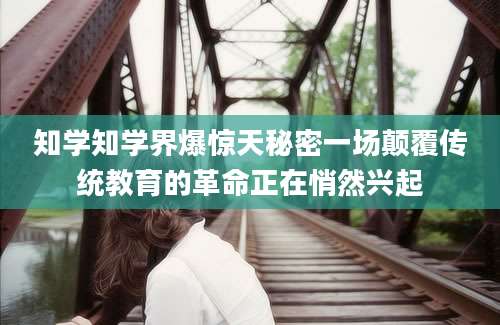 知学知学界爆惊天秘密一场颠覆传统教育的革命正在悄然兴起