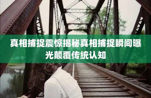 真相捕捉震惊揭秘真相捕捉瞬间曝光颠覆传统认知